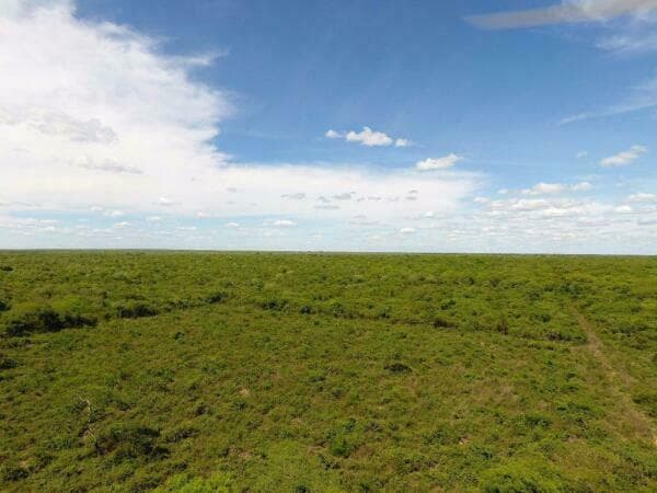 Campo de 10.500 hectáreas, foto 5
