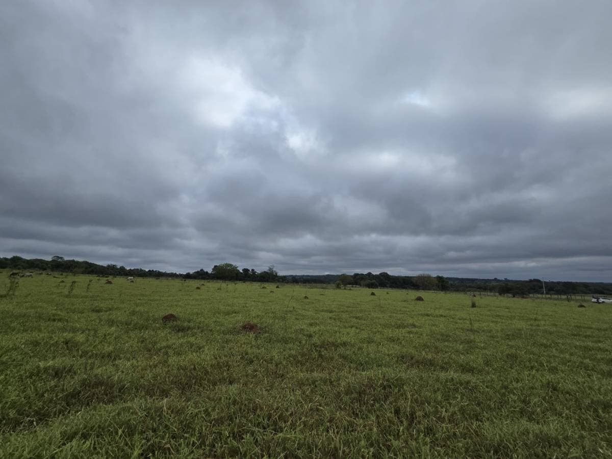 5 hectáreas en Curupayty, Arroyos y Esteros , a 750 metros de la ruta, foto 4