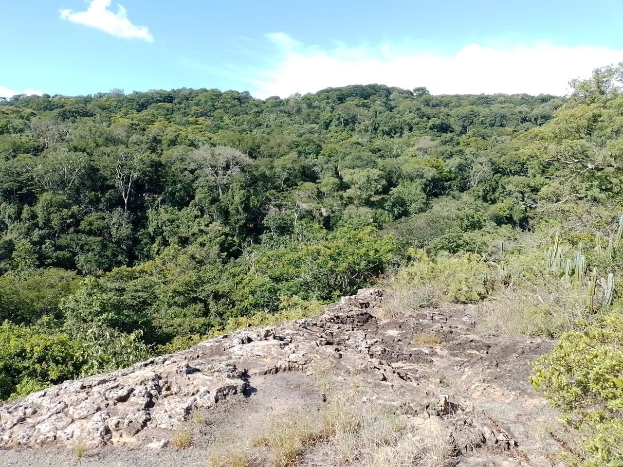 Propiedad de 10 hectáreas en Paraguari zona Mbatovi, foto 4