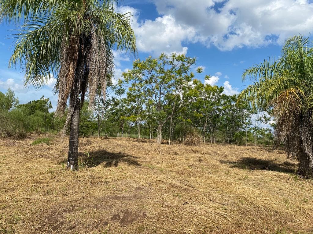 Terrenos en Surubi i, Mariano Roque Alonso-CLHO4946688, foto 4