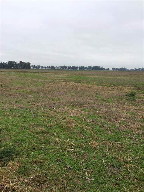 En venta 12 hectáreas en san pedro del paraná, foto 1