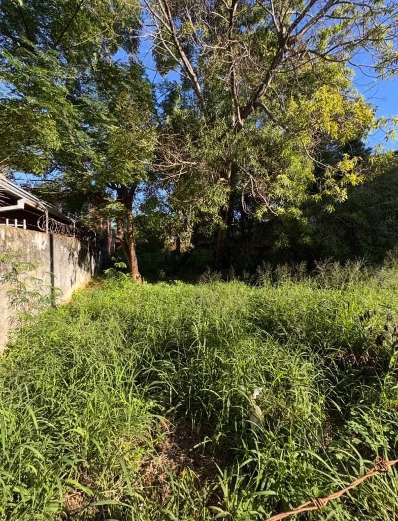 terreno en Lambare, foto 2