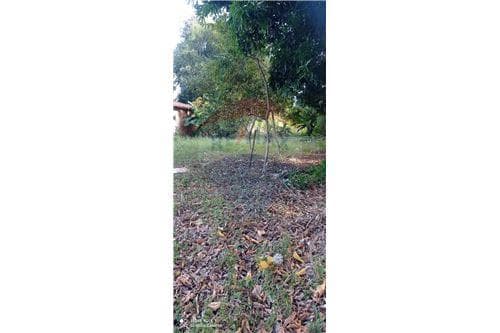 Terreno - Venta - Paraguay Central San Lorenzo, foto 3