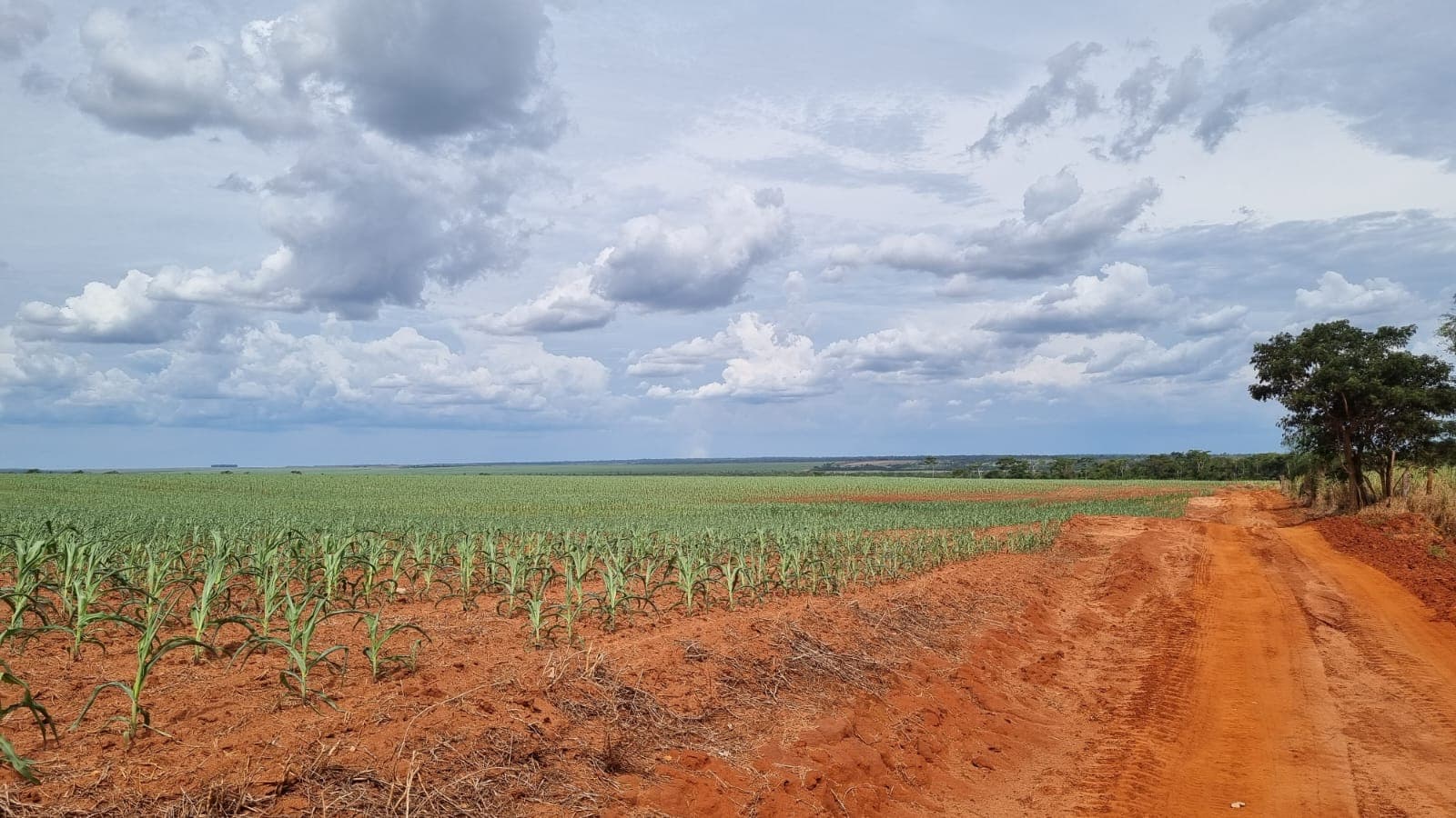 Campo de 747 Hectáreas en Santa Rosa del Aguaray - CLCS7320234, foto 1
