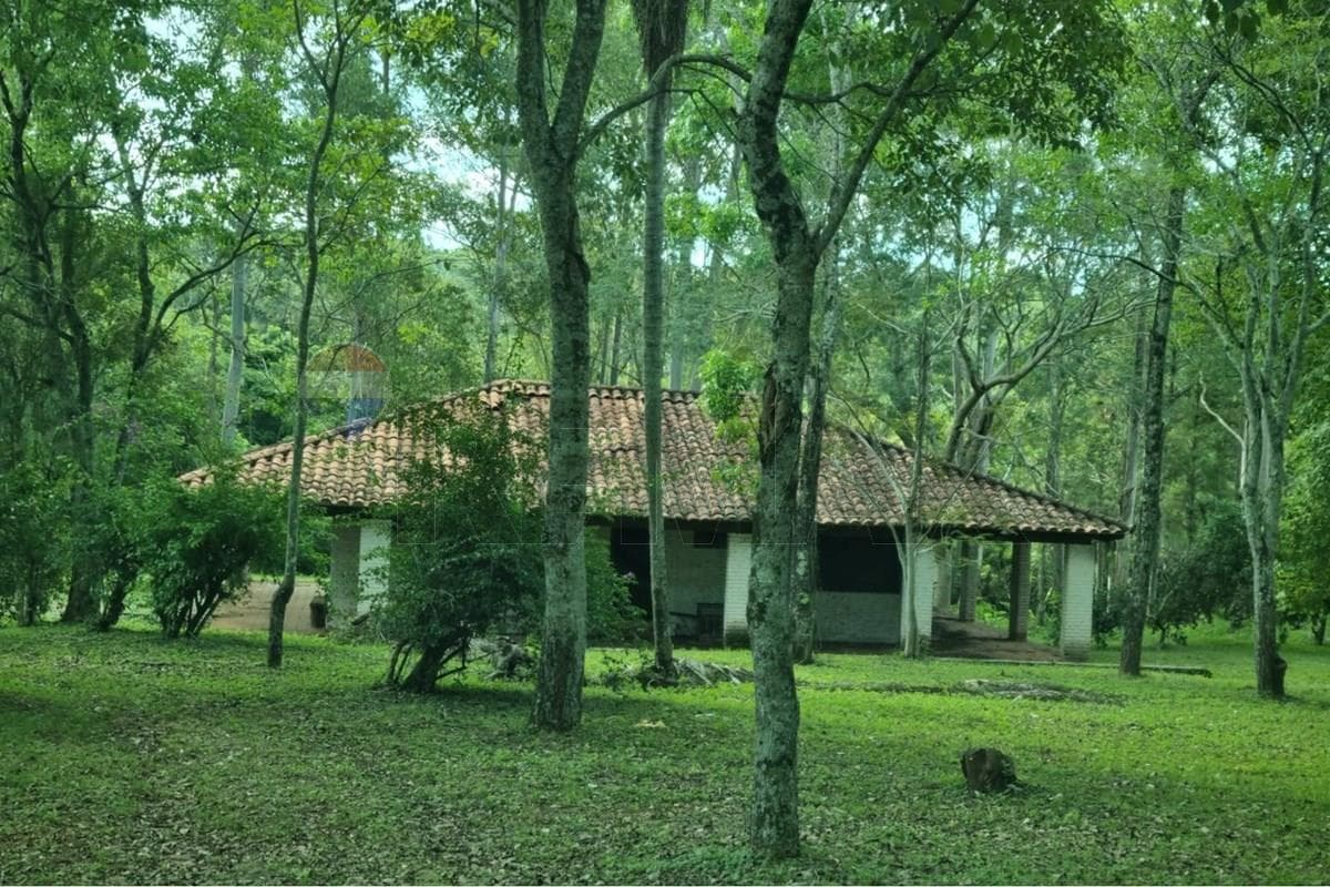 Ideal Inversiones de 8 hectáreas CAACUPE PARAGUAY
