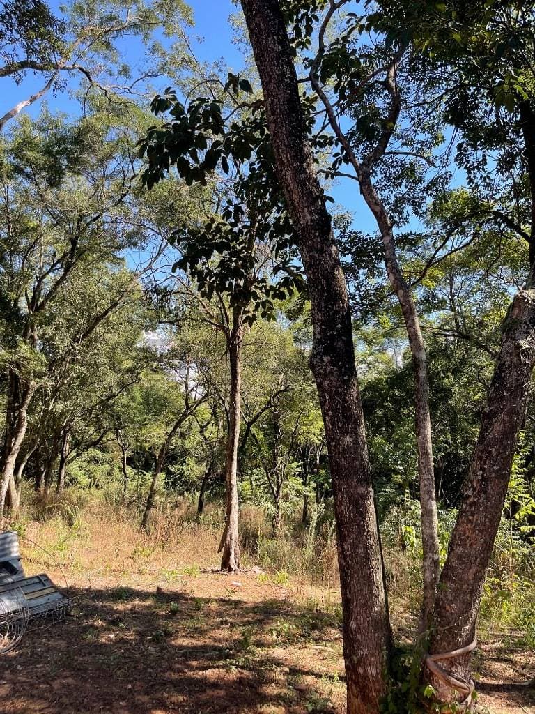 Oportunidad de inversión en tarumandy – Luque, foto 4