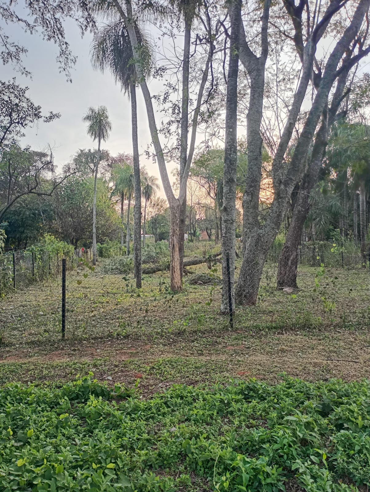 Terreno en caacupemi - areguá, foto 3