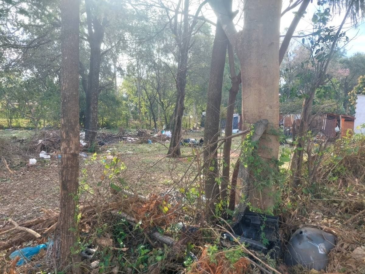 3 terrenos juntos en San Lorenzo — foto 2