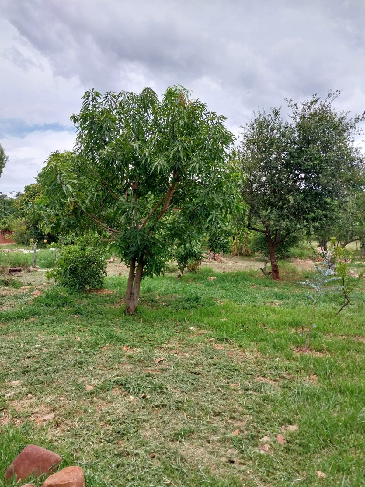 Terreno De 1.897m2 En Itauguá, En Esquina, Sobre Asfaltado!!!!, foto 3