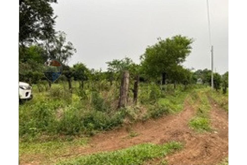 Terreno en alto vera - itapua, foto 3