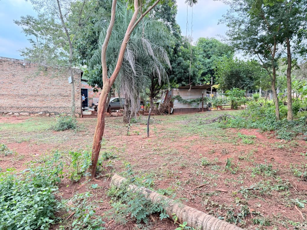 Terreno-venta-cuatro vientos-Limpio, foto 3