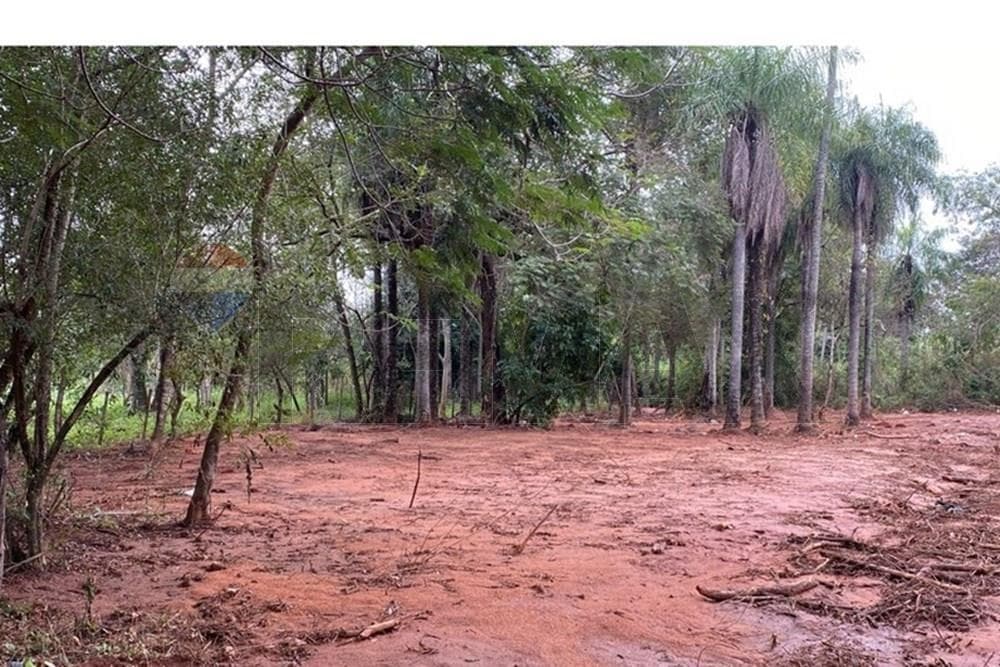 Terreno en esquina Luque 403m2, foto 3