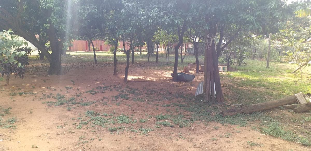 Terreno -a minutos de centro de Limpio, foto 5