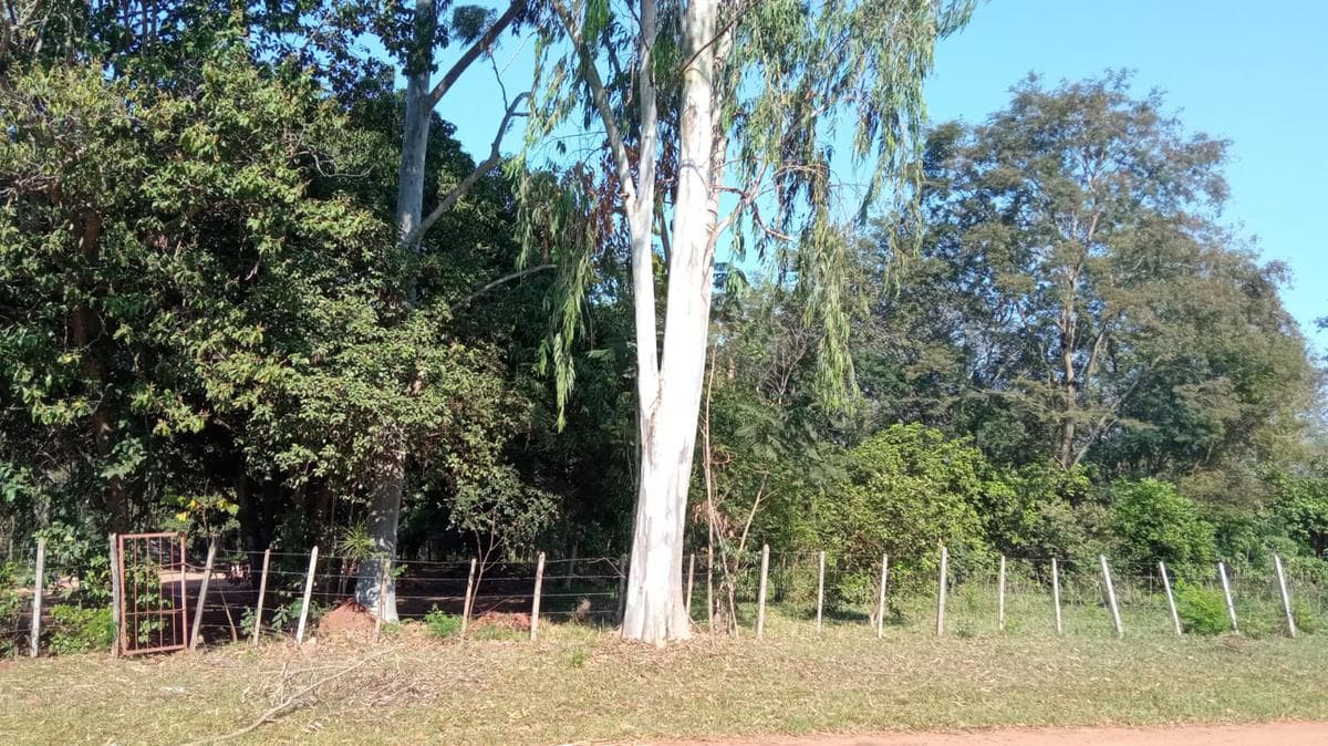 Campo en compañía Capitán Caballero - Tobatí, foto 2