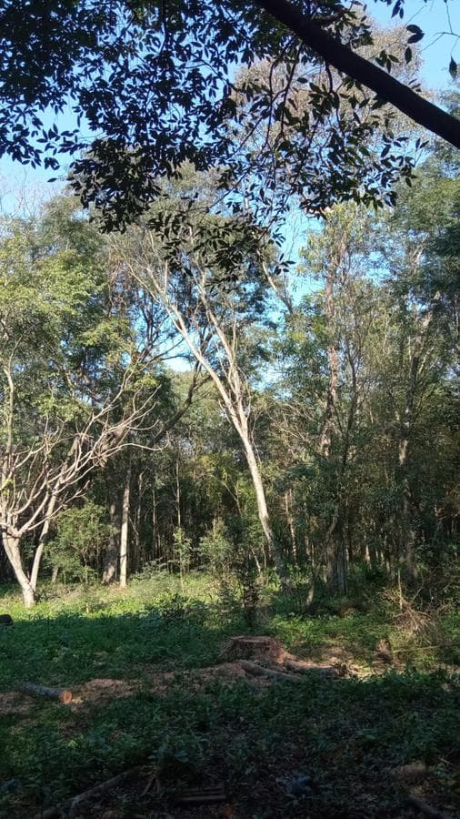 Campo en compañía Capitán Caballero - Tobatí, foto 3