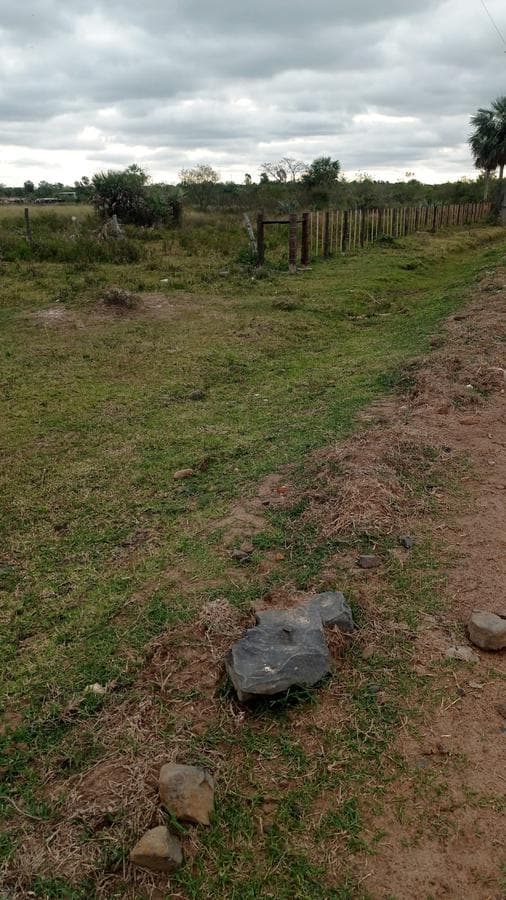 Campo de 10 Hectáreas en Benjamín Aceval — foto 5