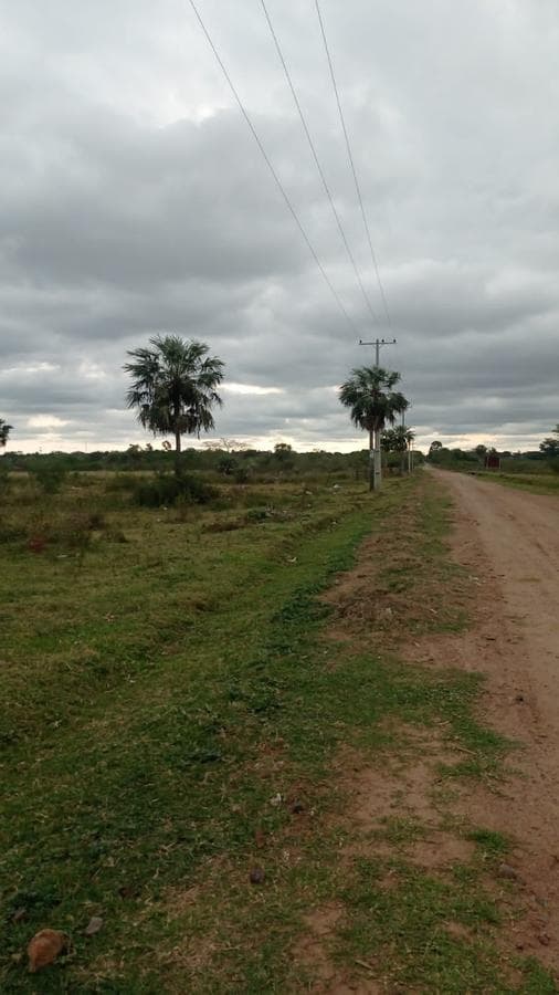 Campo de 10 Hectáreas en Benjamín Aceval — foto 4