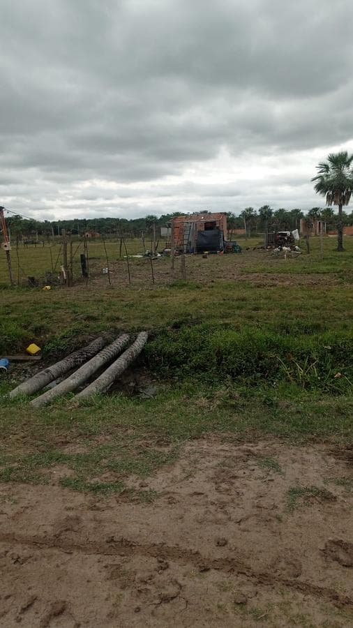 Campo de 10 Hectáreas en Benjamín Aceval — foto 2
