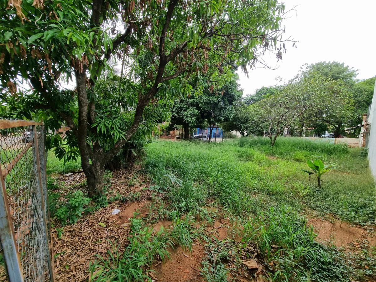 Terreno En Esquina De 440 m2 En Barrio Mburucuya, foto 4