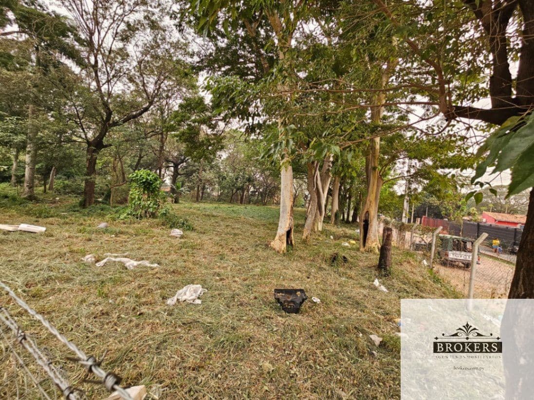 Amplio Terreno En Esquina De 7.136 m2 En Villa Elisa, foto 5