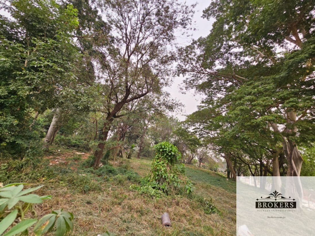 Amplio Terreno En Esquina De 7.136 m2 En Villa Elisa, foto 3
