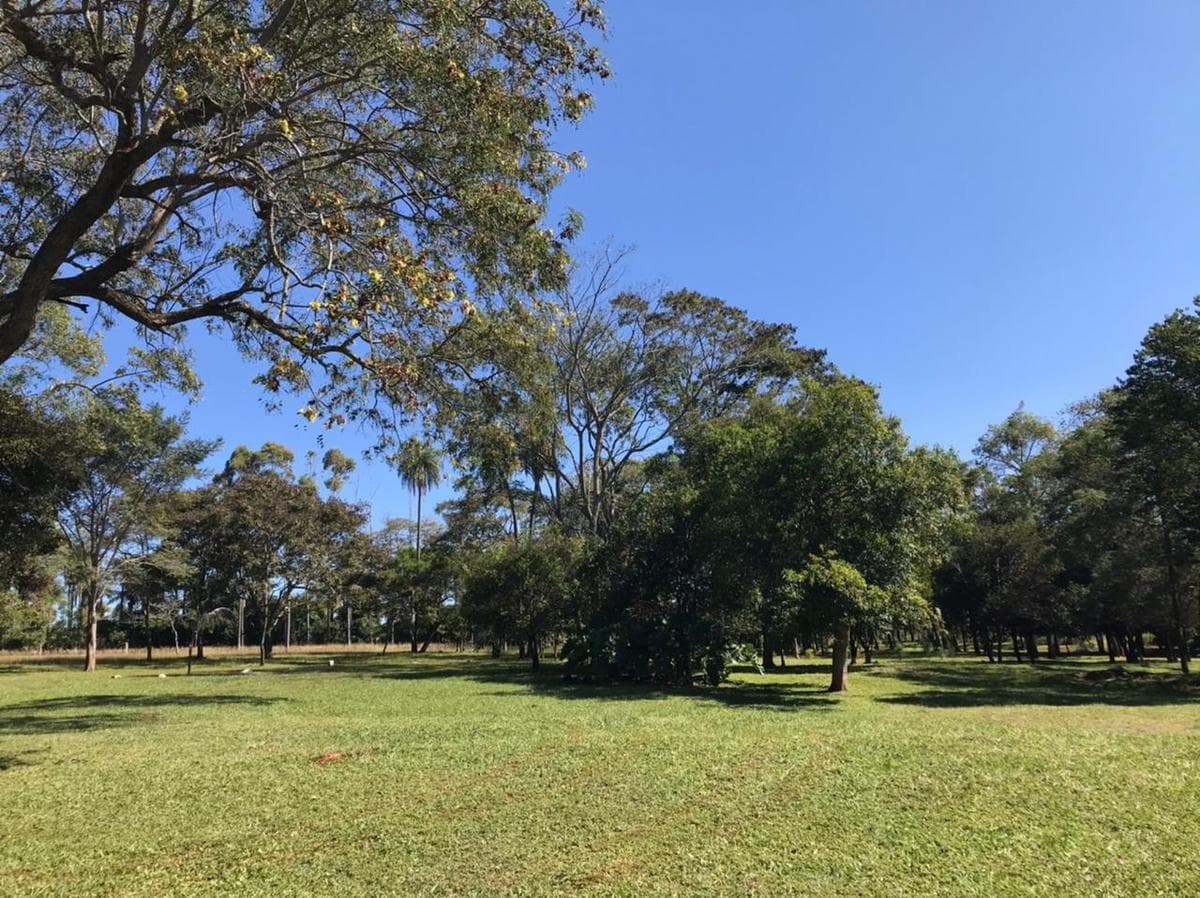 Vendo Granja Formada De 11 Hectareas En Piribebuy, Cordillera
