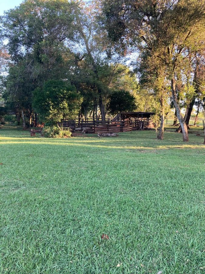 Granja Formada De 11 Hectareas En Piribebuy, Cordillera, foto 3
