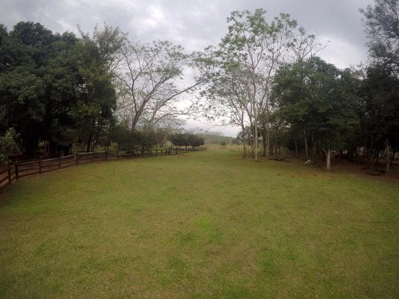Granja Formada De 11 Hectareas En Piribebuy, Cordillera, foto 5