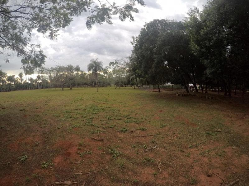 Granja Formada De 11 Hectareas En Piribebuy, Cordillera, foto 4