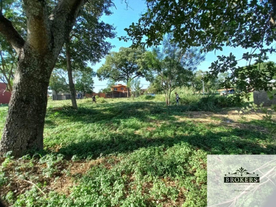 3 lotes Juntos de 378 mt2 Cada Uno En Luque - Laurelty, foto 3