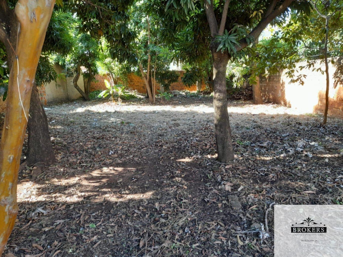 Amplio Terreno De 615 M2 En Barrio Villa Aurelia, foto 2