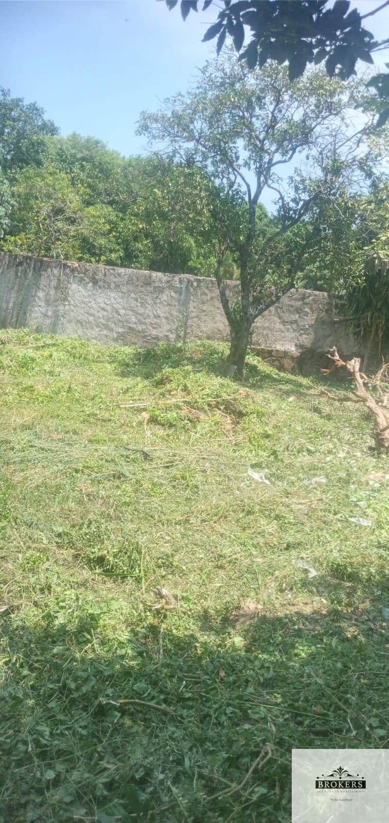 Terreno en venta de 360m2 ubicado en Bo. Colón, San Bernardino — foto principal