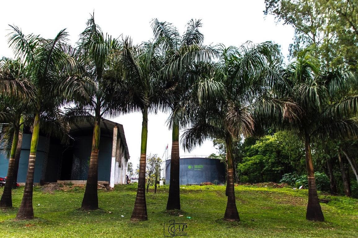 Fabrica De 91 Hectareas En Arroyos y Esteros, foto 5