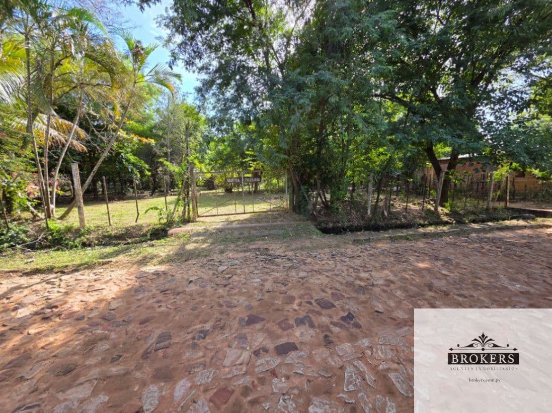 Amplio Terreno De 3.200 m2. En La Ciudad De Limpio — foto 4