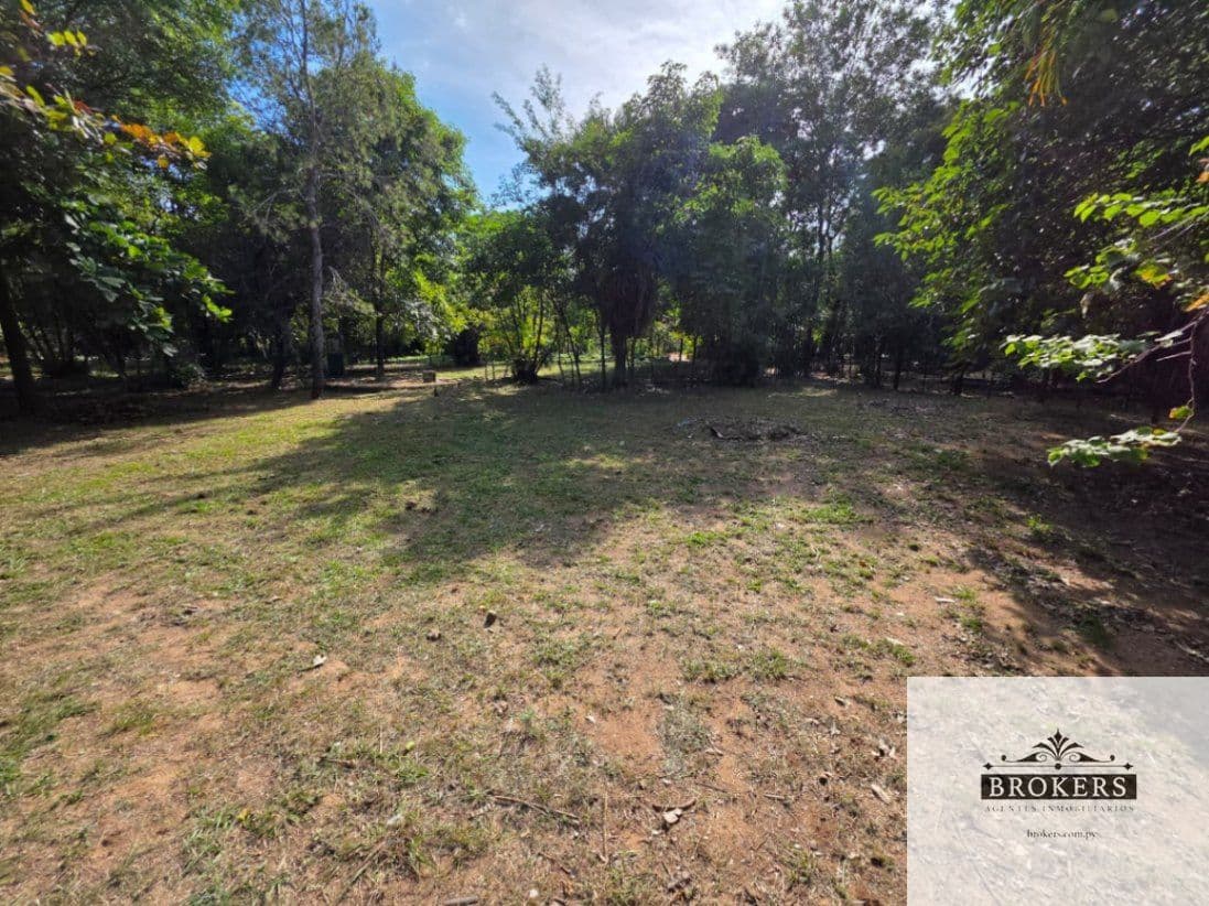 Amplio Terreno De 3.200 m2. En La Ciudad De Limpio — foto 2