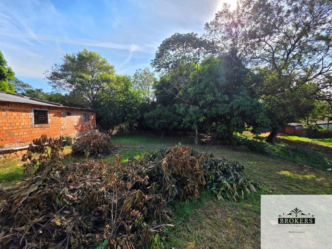 Amplio Terreno De 1.330 m2 En La Ciudad De Limpio — foto 5