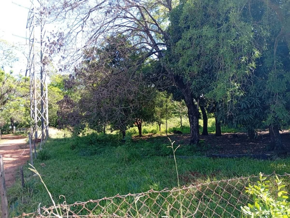 Terreno de 1667 mt2 en Isla Bogado, Luque, foto 3
