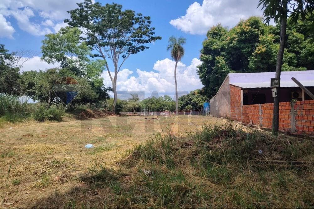 terreno en Luque, foto 3