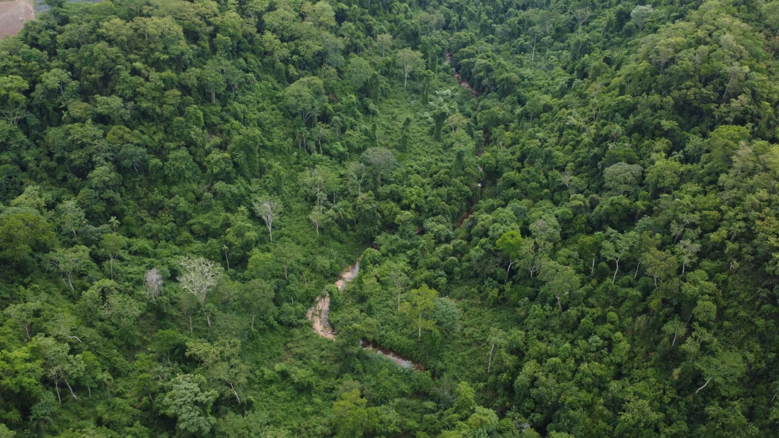 Propiedad rural de 200 ha en zaaguazú, foto 4