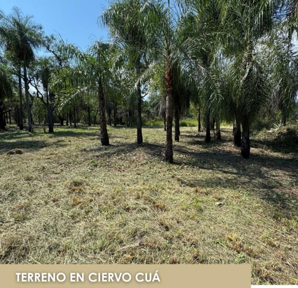 Vendo terreno en San Bernardino