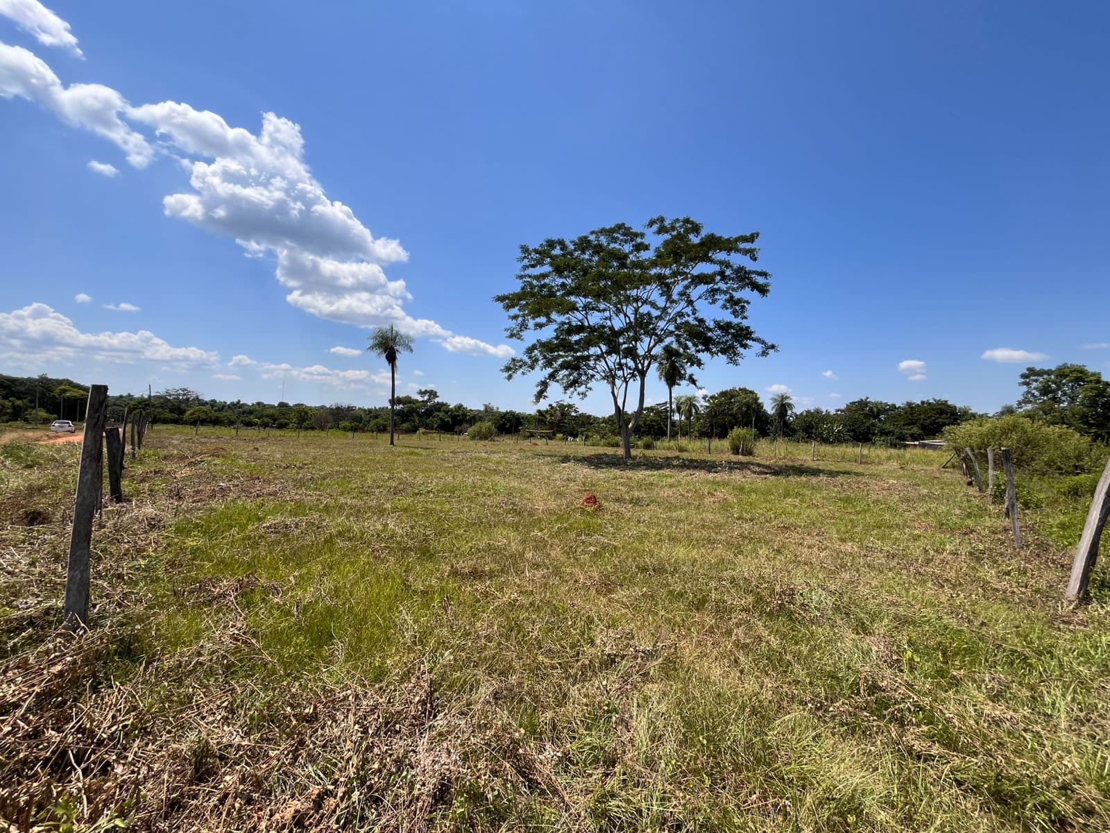 de 5 Terrenos Juntos - Itauguá, foto 4