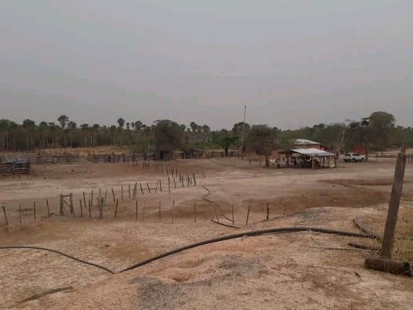 Estancia en alto paraguay-fortin florida, 1500has, foto 2