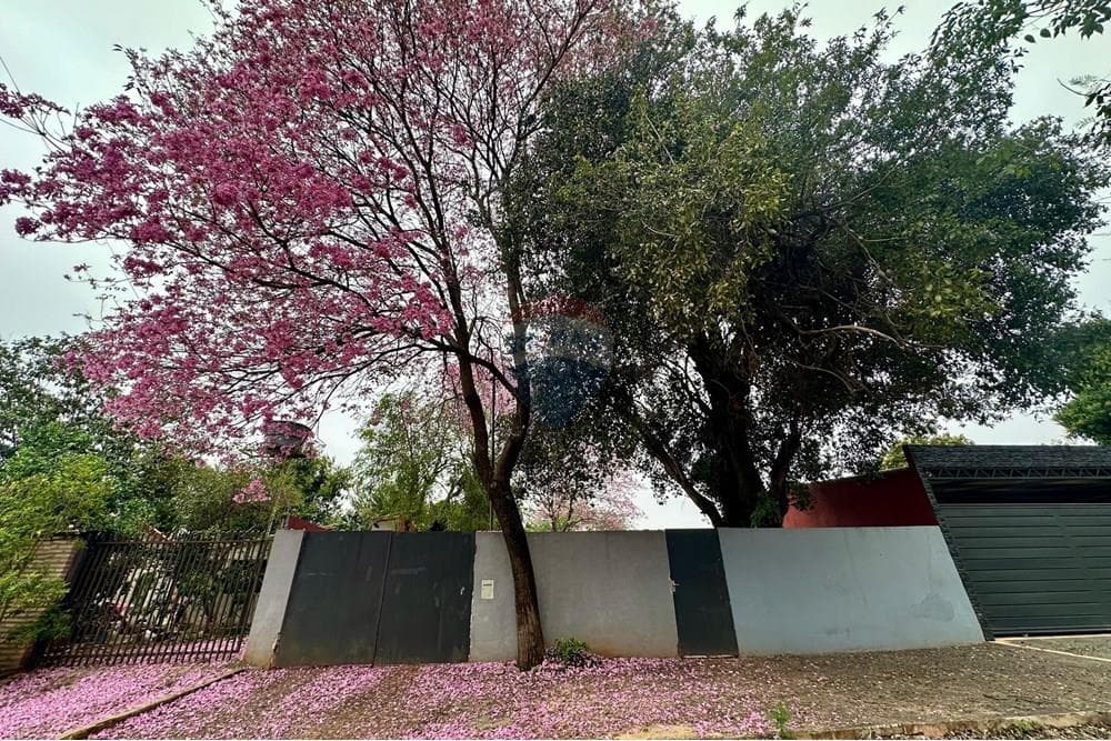 Terreno en Venta - Luque, foto 2