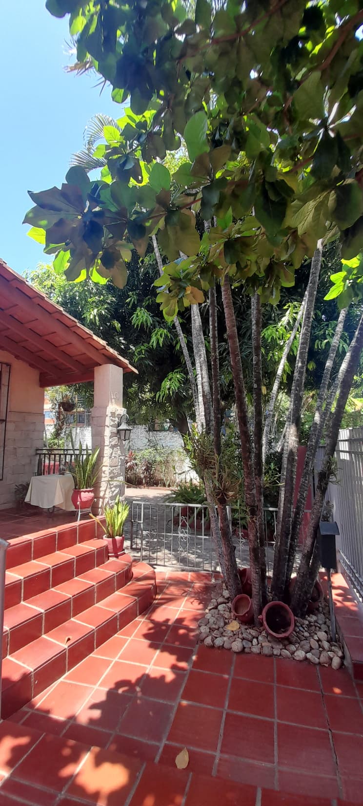 Casa En Lambaré Zona Municipalidad, foto 5