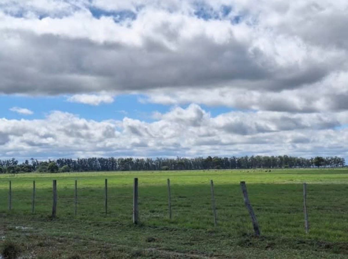 Hermosa Estancia en Horqueta -Concepción 900 hectáreas!, foto 4