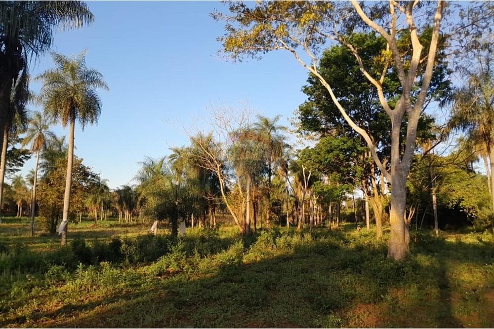 Terreno - Venta - Itauguá, Paraguay