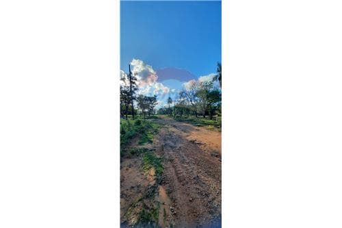 Terreno en San Bernardino, foto 3