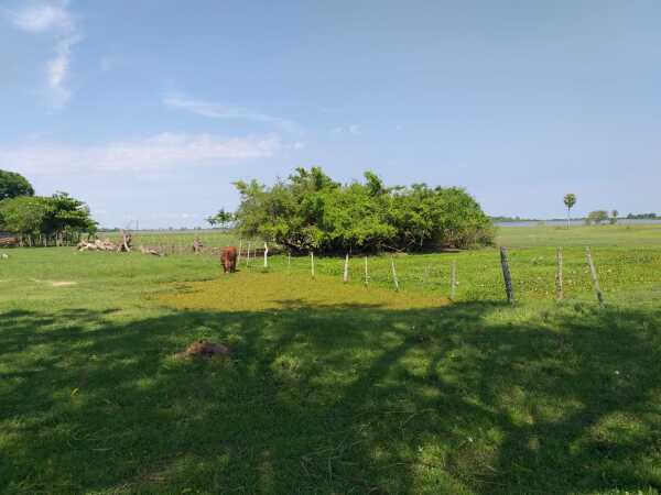 En venta de 411 hectáreas en estero kanva / san juan de ñeembucu, foto 3