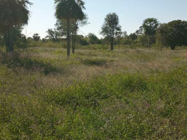 ¡Oportunidad Única de Inversión en Villa Hayes – Puerto Falcón!, foto 4