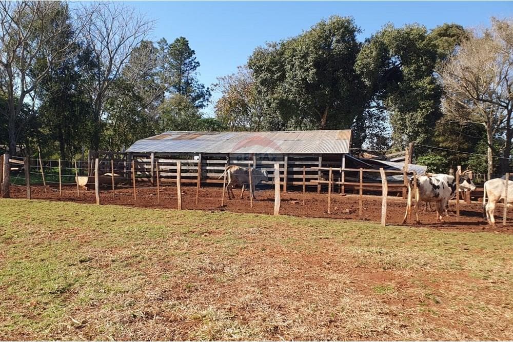Terreno - Venta - Hernandarias, Alto Paraná, Paraguay, foto 4